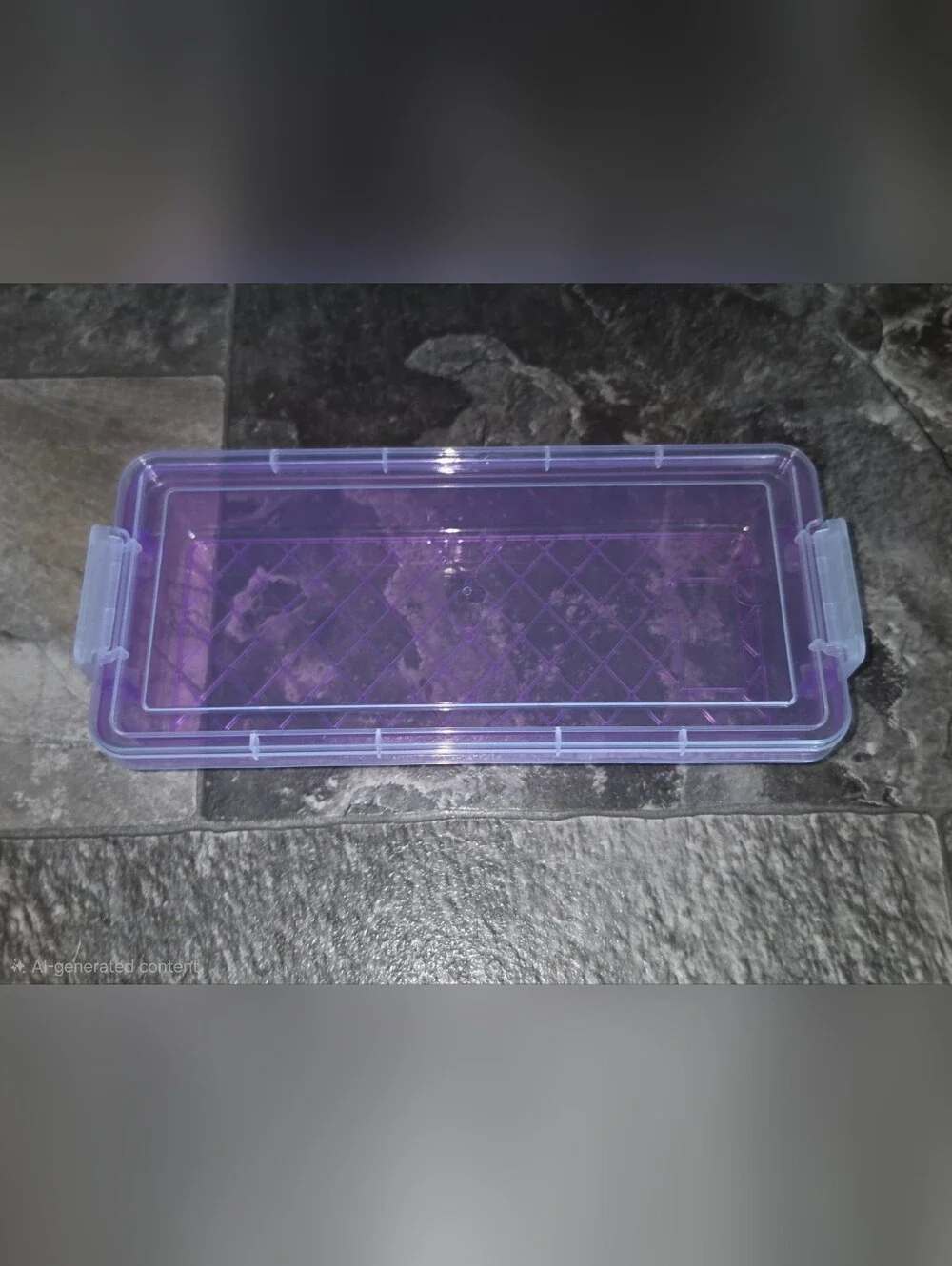 Rectangular Organzer with 2 Lock Containers in Purple BNIB